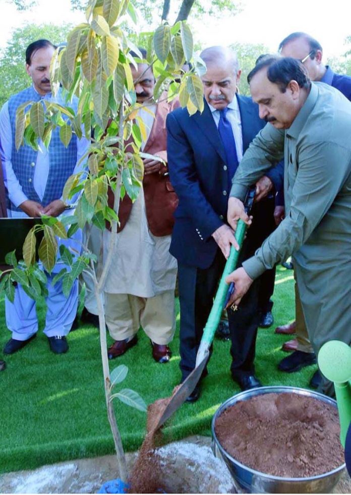 Prime Minister Muhammad Shehbaz Sharif plants a sapling to kick start Monsoon Tree Plantation drive 2023 Prime Minister Muhammad Shehbaz Sharif plants a sapling to kick start Monsoon Tree Plantation drive 2023