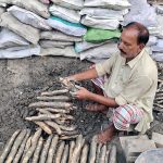 A vendor displaying Lotus Root (Beeh) to attract the customers at Sabzi Mandi