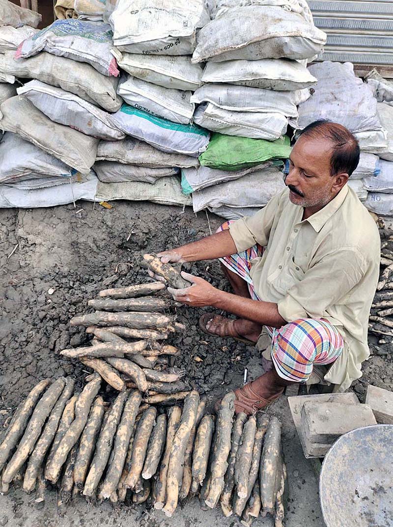 A vendor displaying Lotus Root (Beeh) to attract the customers at Sabzi Mandi