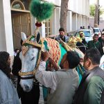 The Zuljinah being decorated at Kalan Imam Bargah in preparation of Ashura procession
