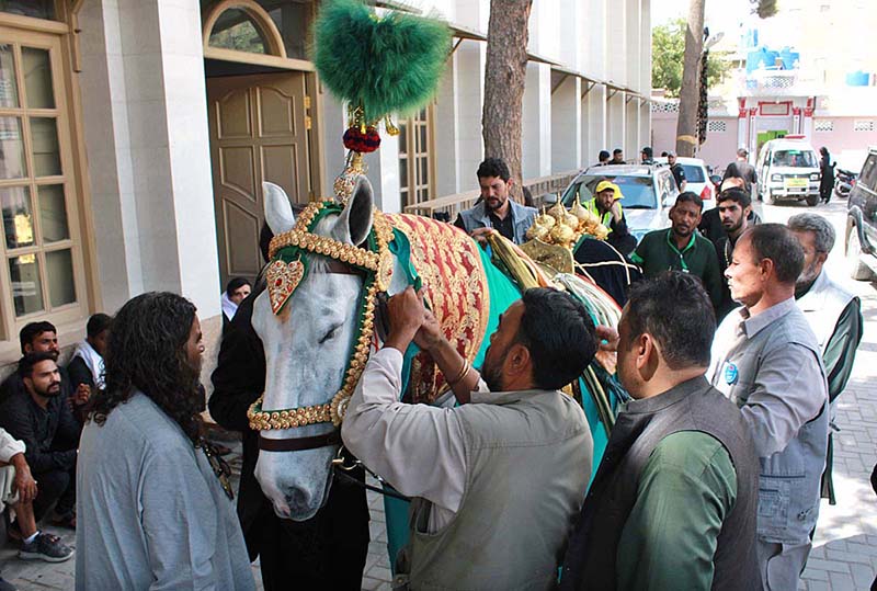 The Zuljinah being decorated at Kalan Imam Bargah in preparation of Ashura procession