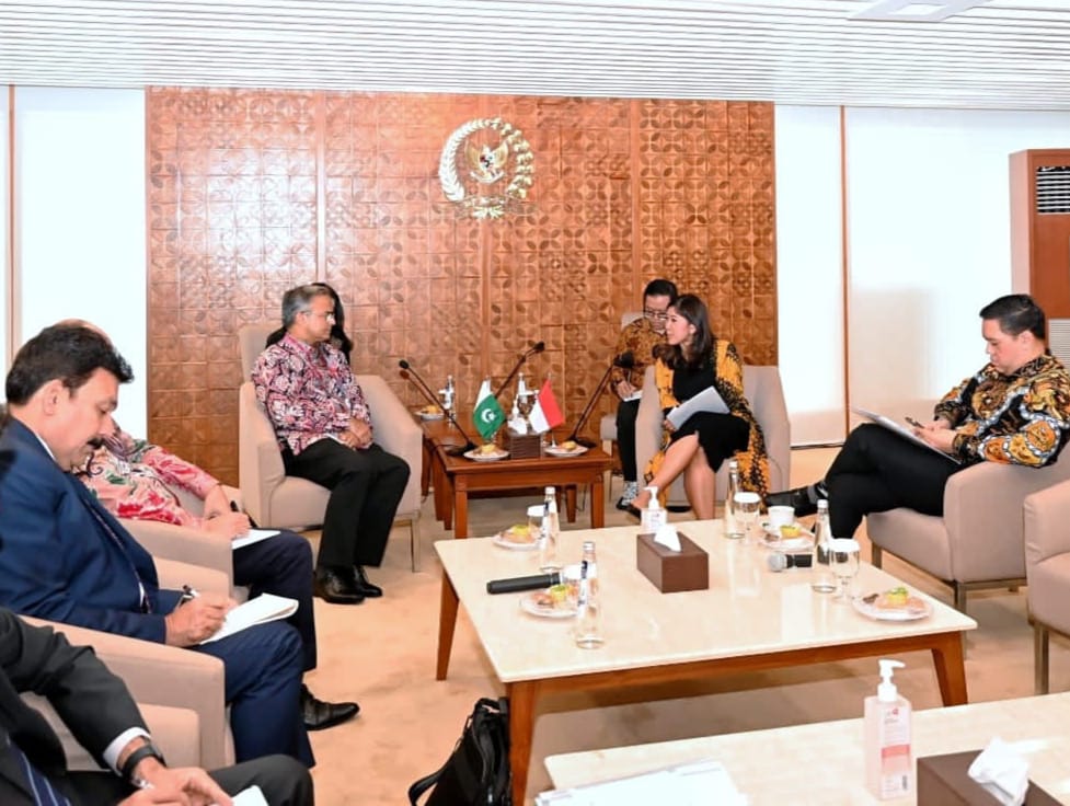 Foreign secy calls on Indonesian president
