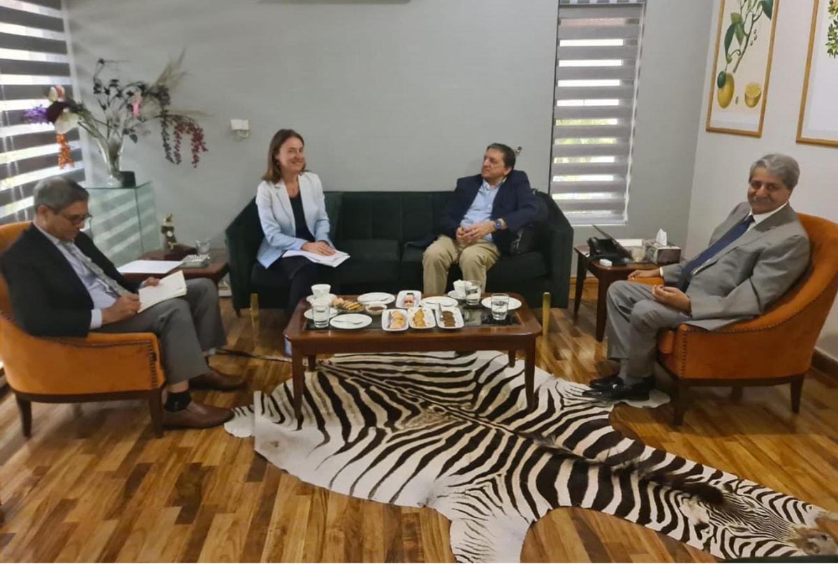 Naveed Qamar, PPP finance team hold meeting with IMF country representative