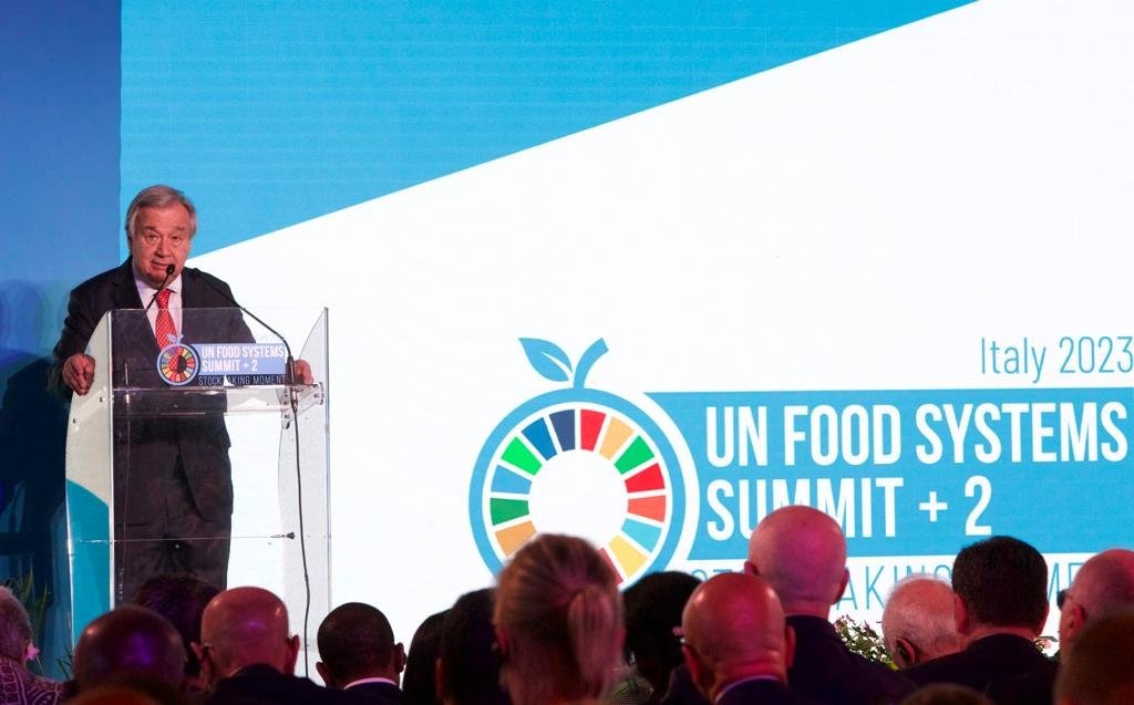 Global food systems ‘broken’, UN chief says, as more people go hungry