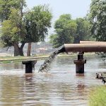 Environmentalists suggest promoting idea of reusing wastewater for non-potable purposes