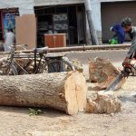Labourer busy cutting wood into pieces with the help of an electric cutter at the timber market