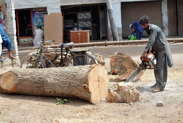 Labourer busy cutting wood into pieces with the help of an electric cutter at the timber market