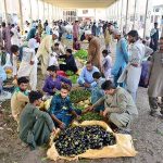 A large number of people purchasing vegetables from vendor at vegetables market
