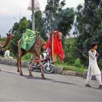 Vendors along with decorated camels shuttling on the road searching for customers for ride at KhanaPul