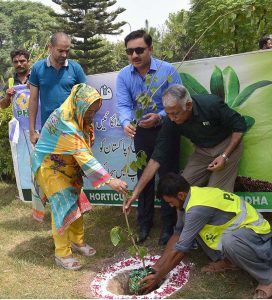 President Nazriya-e-Pakistan Trust Forum, Dr. Haroon-ul-Rasheed Tabassum and Principal Khabib Girls School and College Madam Sarwat Ansar sapling plant at Khabib Girls School and College Ground during tree plantation campaign