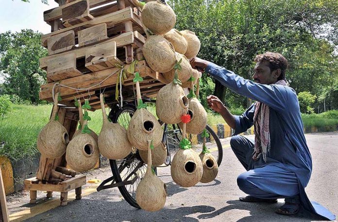 A vendor arranging and displaying bird’s nests and wooden base stand for refrigerator on his bicycle to attract the customers in Federal Capital.