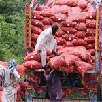 Labourers busy in off-loading vegetable sacks from a delivery truck at Islamabad Fruit and Vegetable Market