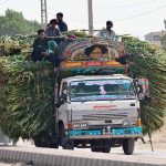 A view of truck over loaded with green fodder on the way may cause any mishap and needs attention of the concerned authorities at Fateh Chowk road