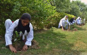 President Nazriya-e-Pakistan Trust Forum, Dr. Haroon-ul-Rasheed Tabassum and Principal Khabib Girls School and College Madam Sarwat Ansar sapling plant at Khabib Girls School and College Ground during tree plantation campaign