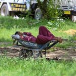 A labourer enjoying nap under the shadow of tree on his handcart in Federal Capital