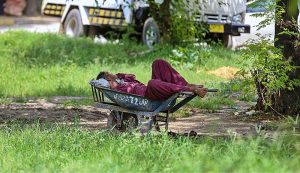 A labourer enjoying nap under the shadow of tree on his handcart in Federal Capital