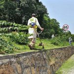 CDA workers busy in cutting grass from greenbelt along Expressway