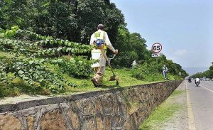 CDA workers busy in cutting grass from greenbelt along Expressway