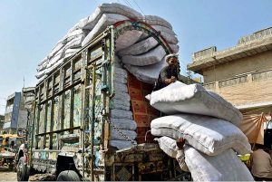 Labourers busy in unloading heavy sacks from transportation truck at Shahi Bazaar