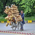 A vendor along with bicycle loaded with wooden base stand for refrigerators and birds nest on the way to attract the customers in Federal Capital