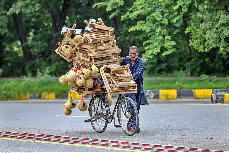 A vendor along with bicycle loaded with wooden base stand for refrigerators and birds nest on the way to attract the customers in Federal Capital