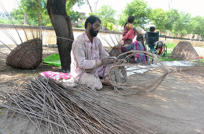 Gypsy Family busy making Baskets from dry tree branches at roadside setup