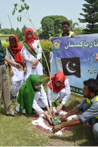 President Nazriya-e-Pakistan Trust Forum, Dr. Haroon-ul-Rasheed Tabassum and Principal Khabib Girls School and College Madam Sarwat Ansar sapling plant at Khabib Girls School and College Ground during tree plantation campaign