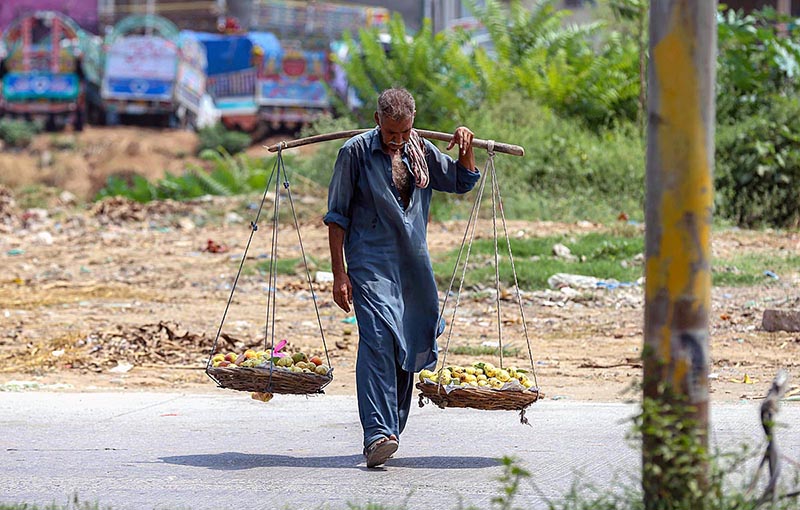 An elderly vendor selling fruits while shuttling on road in Federal Capital