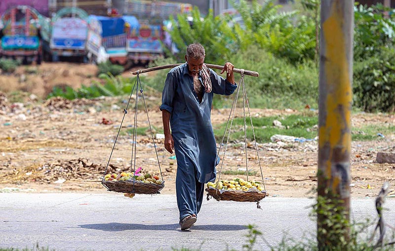 An elderly vendor selling fruits while shuttling on road in Federal Capital An elderly vendor selling fruits while shuttling on road in Federal Capital