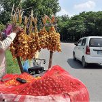 A vendor displays fresh dates at his road side setup to attract the customers at G-8