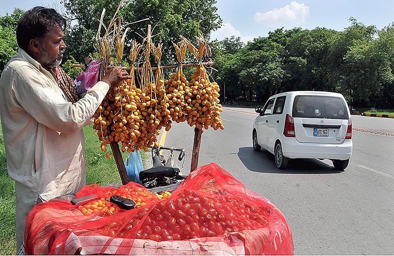 A vendor displays fresh dates at his road side setup to attract the customers at G-8