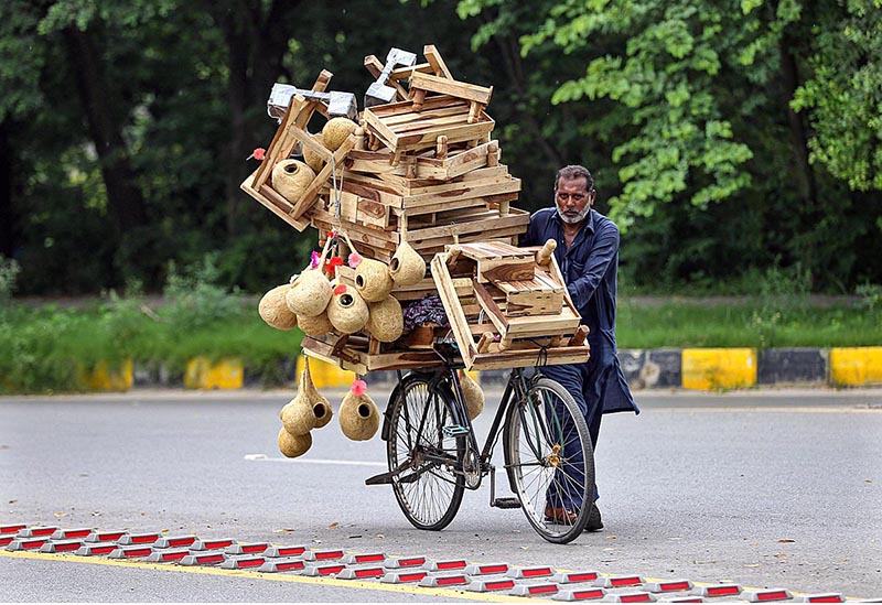 A vendor on the way along with his bicycle loaded with wooden base stand for refrigerator and birds nest in Federal Capital