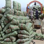 Labourers busy in unloading sacks of potatoes from delivery truck at Vegetable Market