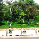CDA workers trimming grass at greenbelt during beautification work of the Federal Capital