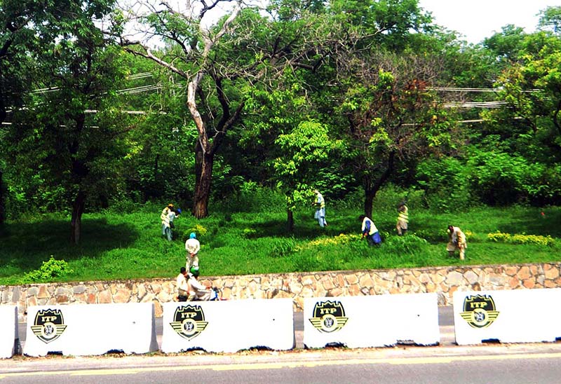 CDA workers trimming grass at greenbelt during beautification work of the Federal Capital