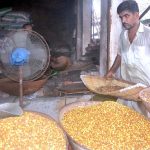 Vendor busy in cleaning and displaying grams for customers at his roadside setup