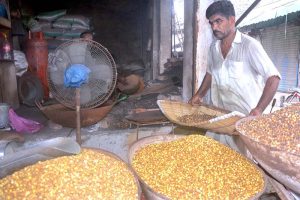 Vendor busy in cleaning and displaying grams for customers at his roadside setup