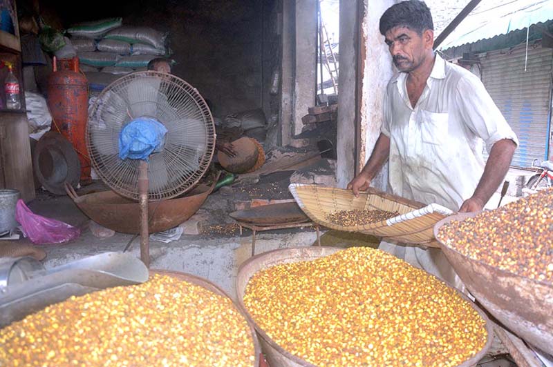Vendor busy in cleaning and displaying grams for customers at his roadside setup