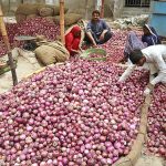 Labourers busy in sorting onions for delivery to other markets at Subzi Mandi