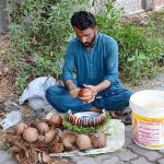 A vendor displaying pieces of the coconut for selling at a roadside setup