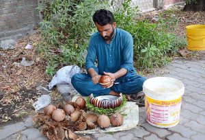 A vendor displaying pieces of the coconut for selling at a roadside setup