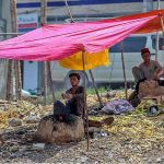 A vendor busy in roasting corn cobs at his setup at Pirwadhai