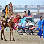Girls enjoying the camel riding at Almanzar picnic point area of Indus River at Jamshoro