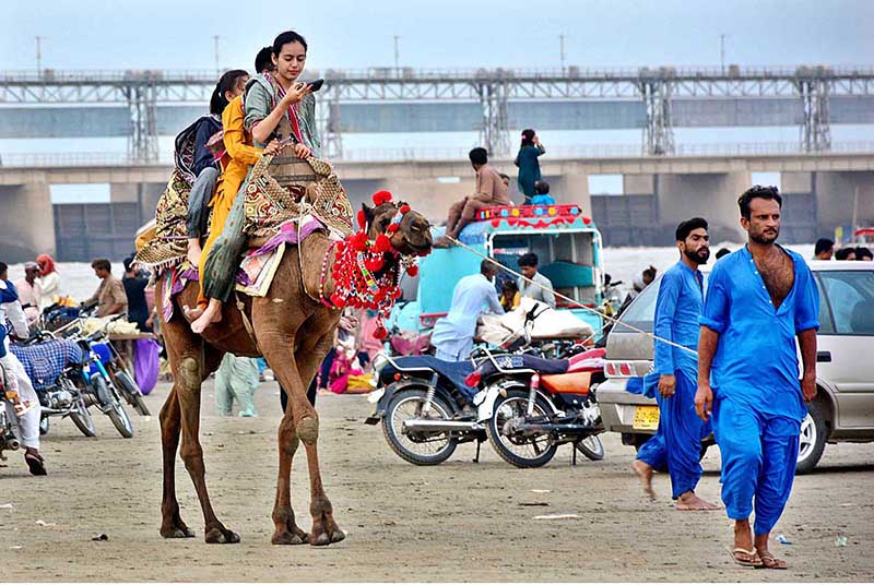 Girls enjoying the camel riding at Almanzar picnic point area of Indus River at Jamshoro