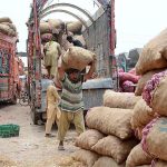 Labourers busy in unloading sacks of onion from delivery truck at Vegetable Market