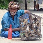 A view of elderly vendor displaying the birds to attract the customers at Latifabad