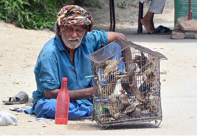 A view of elderly vendor displaying the birds to attract the customers at Latifabad