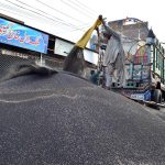 A labourer off-loading the mustard seed at grain market for sell.