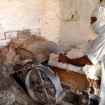 A man preparing cotton wool for quilts at his workplace in Factory Area