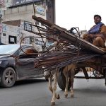 A donkey cart on the way with over loaded iron bars at College road